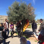 Un olivo y un almendro hermanan la tierra palestina con el campo de Los Almendros de Alacant